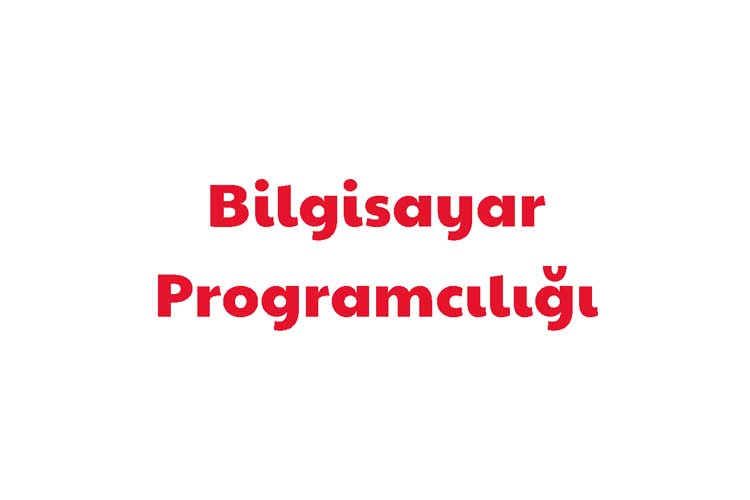 Bilgisayar Programcılığı