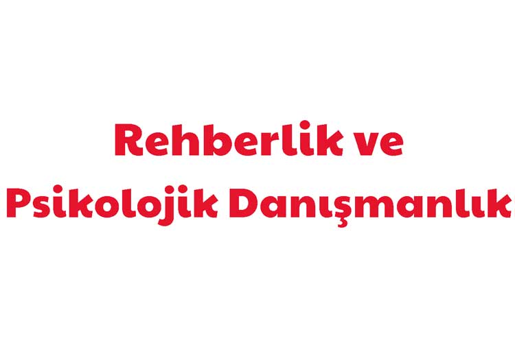 Rehberlik ve Psikolojik Danışmanlık