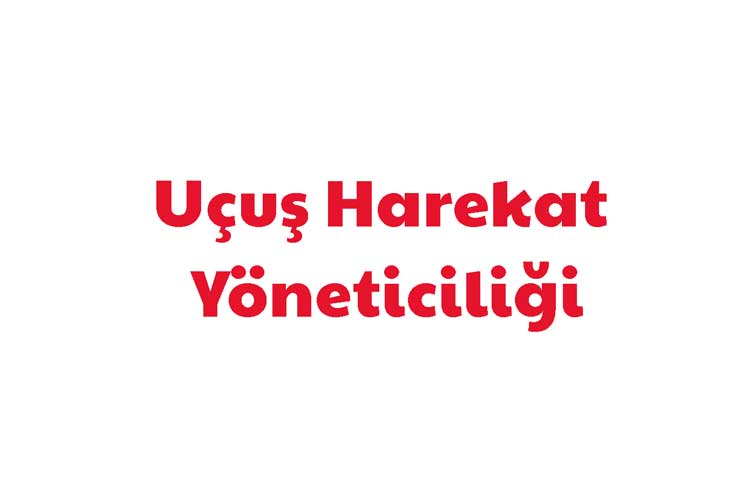 Uçuş Harekat Yöneticiliği