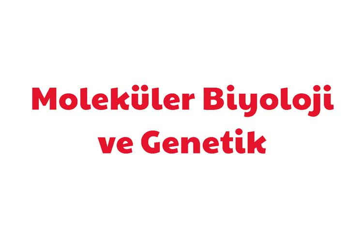 Moleküler Biyoloji ve Genetik