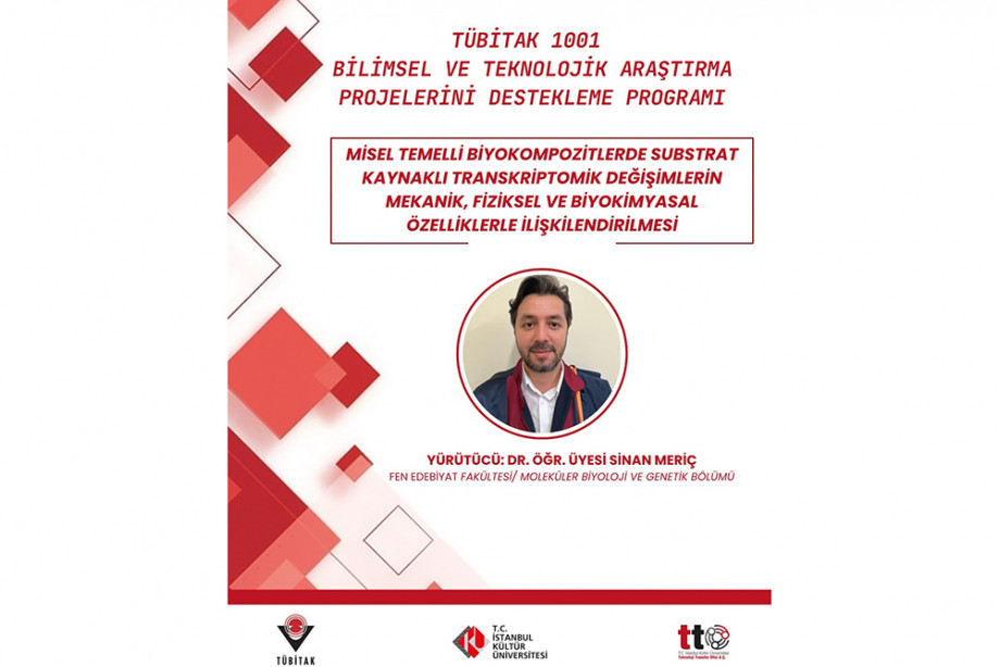 TÜBİTAK 1001
